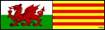 0003_delw_baneri_cymru_catalonia_050111