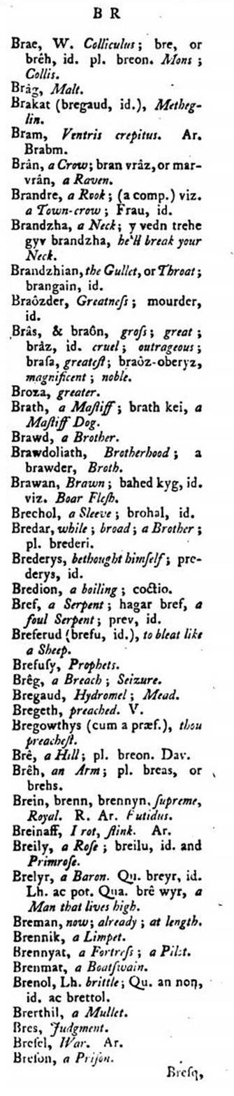 F4769_borlase_1769_antiquities-cornwall_vocabulary_419c.jpg