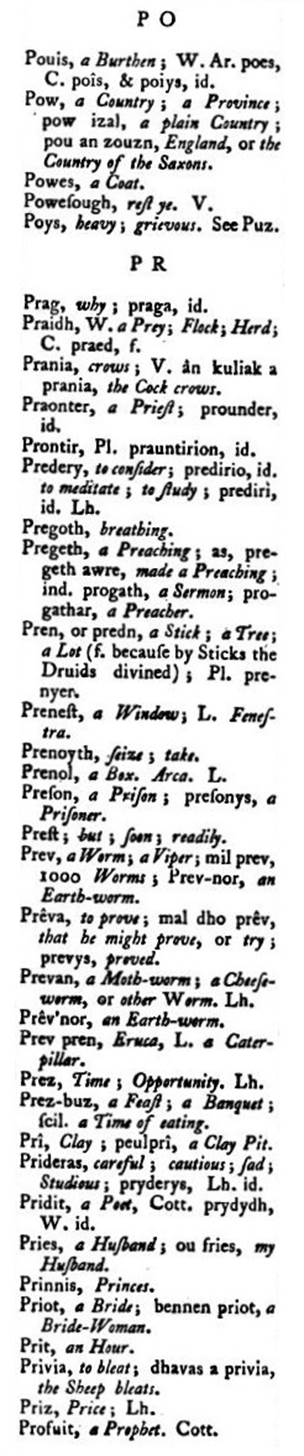 F4864_borlase_1769_antiquities-cornwall_vocabulary_451b.jpg