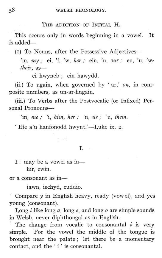 F6417_studies-in-welsh-phonology_samuel-j-evans_1906_058.jpg