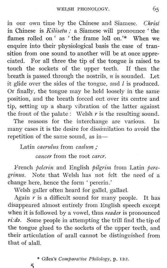 F6424_studies-in-welsh-phonology_samuel-j-evans_1906_065.jpg