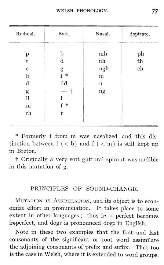 F6436_studies-in-welsh-phonology_samuel-j-evans_1906_077.jpg