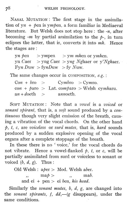 F6437_studies-in-welsh-phonology_samuel-j-evans_1906_078.jpg