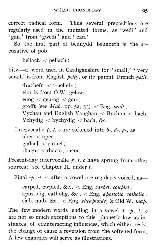 F6454_studies-in-welsh-phonology_samuel-j-evans_1906_095.jpg