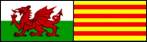 A red dragon on a green and yellow flag

Description automatically generated