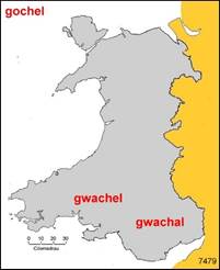 Kimkat1021e Welsh English Dictionary Section G Y Gwe Eiriadur Geiriadur Cymraeg A Saesneg