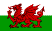 0193_baner-cymru